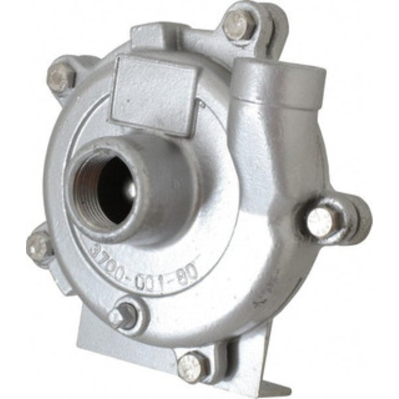 AMT Pump 1 Inch Inlet, 3/4 Inch Outlet, Stainless Steel, Pedestal Mount Pump O Ring Casing Seal 3704-999-98 - 09275249