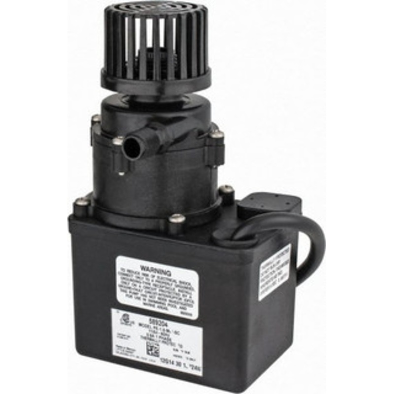 Little Giant 1/35 HP, 12.8 Shut Off Feet, Magnetic Drive Pump 1 Phase, 60 Hz 589204 - 09280306