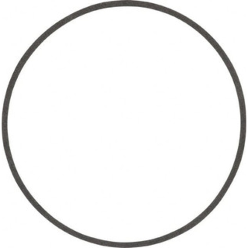 Bell & Gossett Inline Circulator Pump Body Gasket Bell & Gosset Part No. p05800, For Use with All S/H 4-Series Pumps P57410 - 02195667