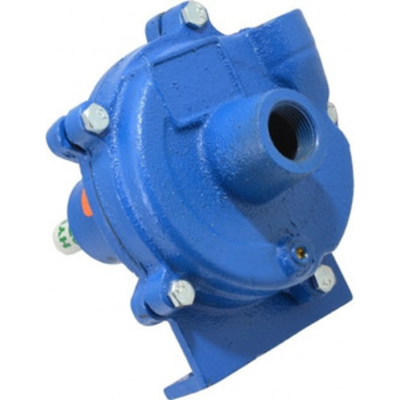 AMT Pump 3/4 Inch Inlet, 1/2 Inch Outlet, Cast Iron, Pedestal Mount Pump O Ring Casing Seal 3682-999-95 - 09274747