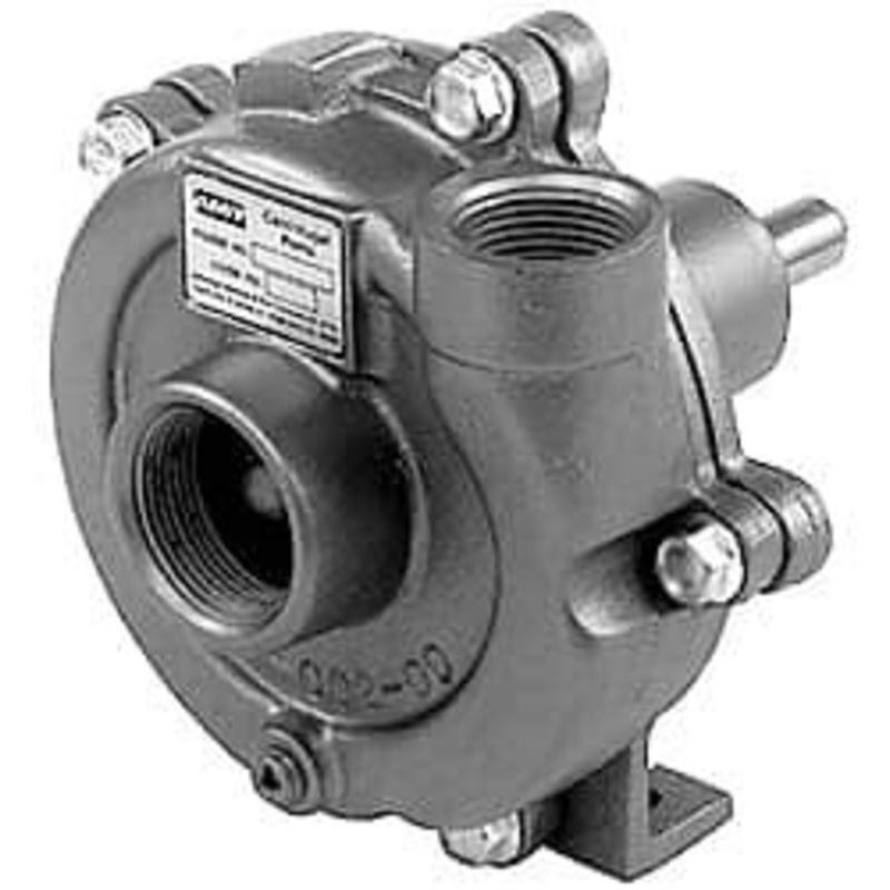 AMT Pump 1-1/4 Inch Inlet, 1 Inch Outlet, Stainless Steel, Pedestal Mount Pump O Ring Casing Seal 3694-999-98 - 09275264